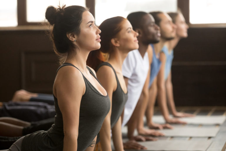 Group of young sporty afro american and caucasian people practicing yoga lesson, stretching in upward facing dog exercise, Urdhva mukha shvanasana pose, working out, indoor close up, studio side view